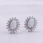 Mindjuse-rodijum0006