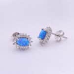 Mindjuse-rodijum0007